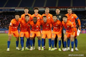 多米APP下载-足协杯2024赛程表山东泰山最新消息今天