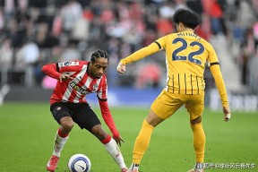 多米APP下载-2077攻略朱迪杀不杀舞子