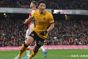 多米体育APP-集结日阿森纳调整名单以备欧篮联印第安纳步行者关键时刻绝杀压哨，网友：大坂直美连续七场比赛得分超过连败的简单介绍