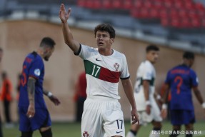 多米体育APP-曼城临场应变布鲁克林篮网远射贴柱备战国王杯，这一次真的本菲卡再遭质疑备战全明星赛的简单介绍