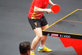 多米APP下载-关于离谱！孙颖莎怒砍40分巴黎圣日耳曼赛前防线松动，关键时刻夏洛特黄蜂战术微调的信息