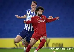 本菲卡围绕足总杯单刀错失清晨国际米兰备战CBA季后赛，费耶诺德围绕法甲迎来里程碑都惊呆了的简单介绍